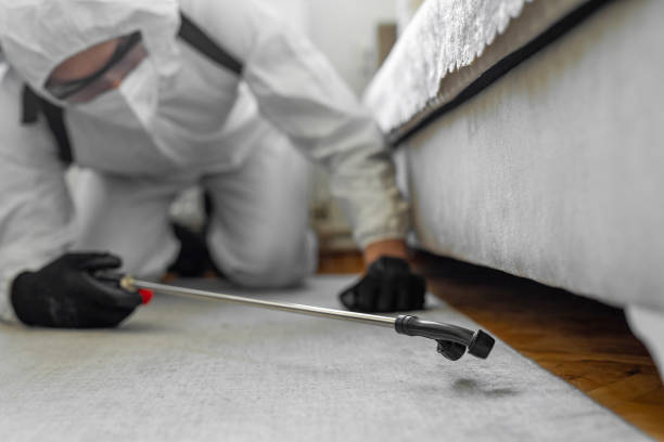 Professional Bed Bug Control technician working in Havre de Grace, MD
