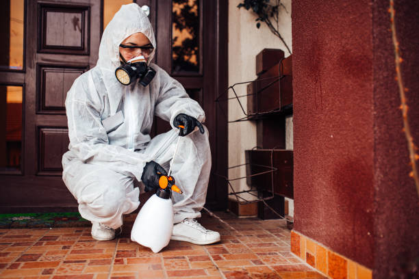 Reliable Bed Bug Control contractor in Havre de Grace, MD by Nex Pest Control