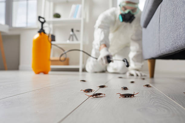 Trusted Fumigation Services service in Havre de Grace, MD - Nex Pest Control