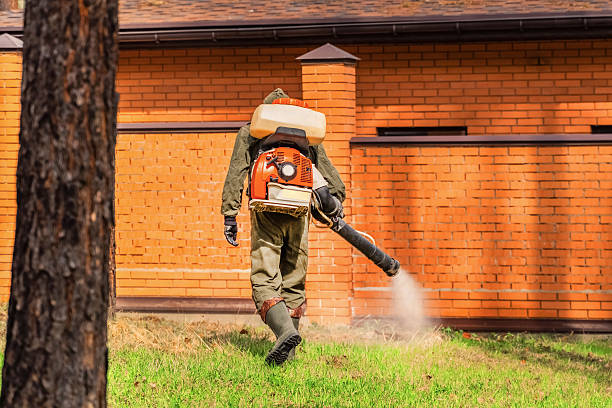 Trusted Termite Control service in Havre de Grace, MD - Nex Pest Control